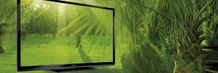 Se sommersporten p&aring; Sharps nye monster-TV-er